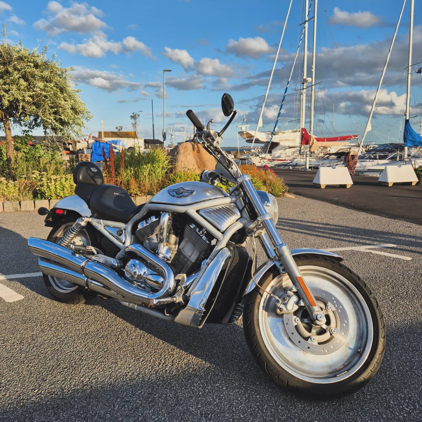 Harley-Davidson V-Rod