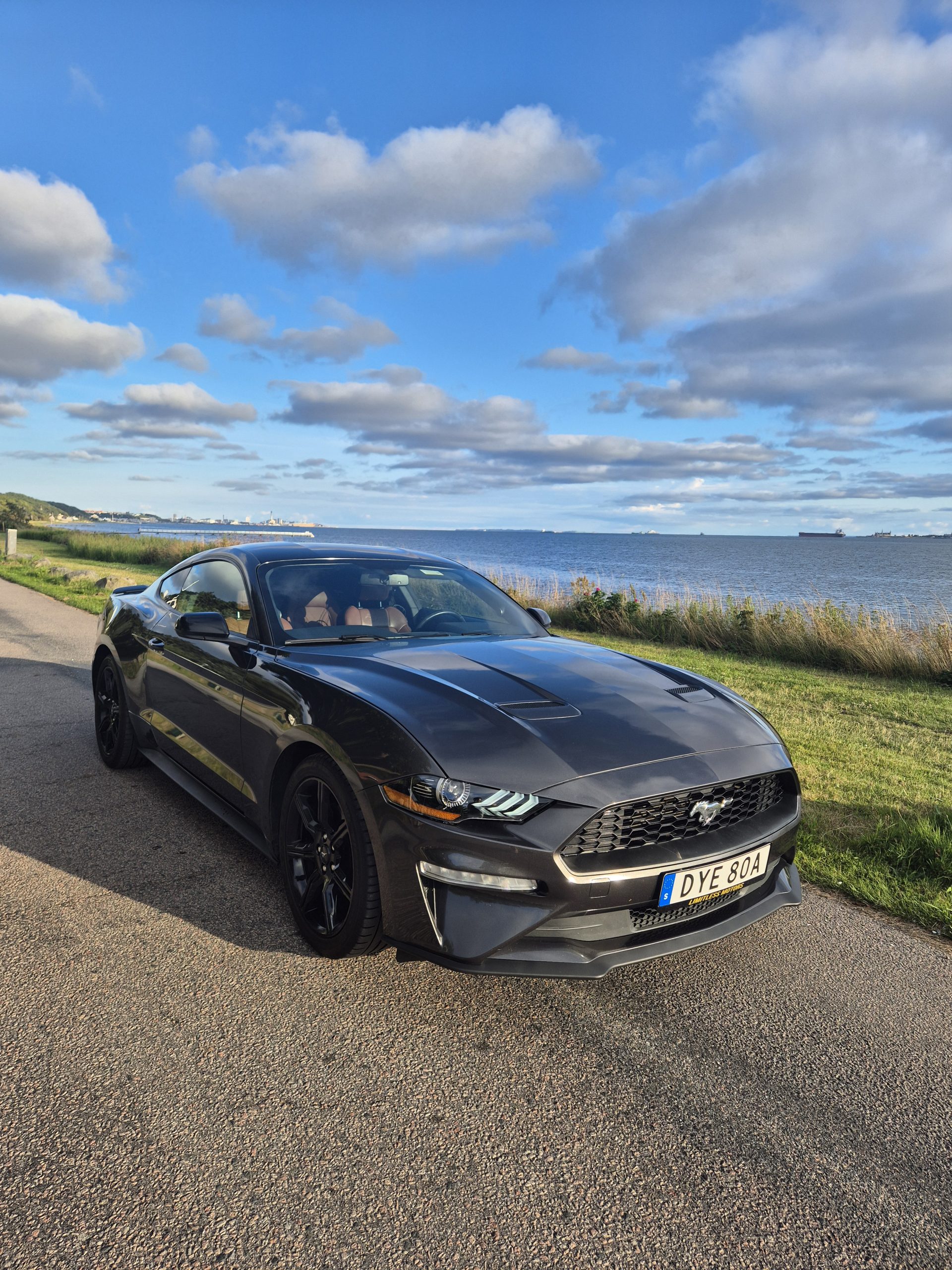 Ford Mustang EcoBoost